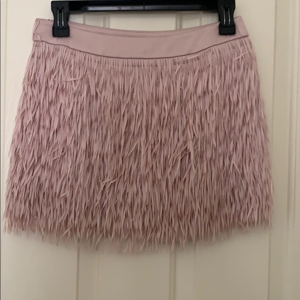 Express mini skirt